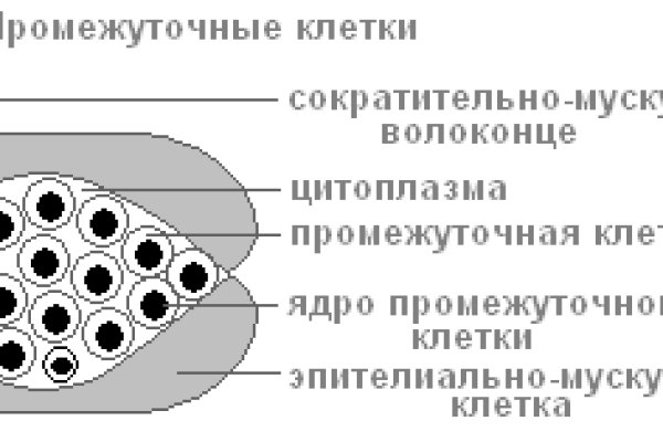 Kraken 15at сайт