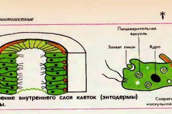 Kraken маркетплейс как зайти